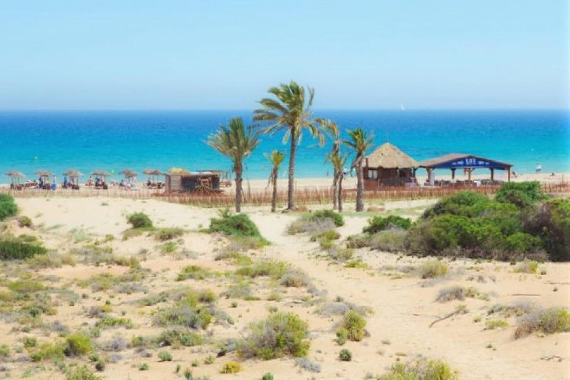 Mediterraneamente Soleado Santa Pola Εξωτερικό φωτογραφία